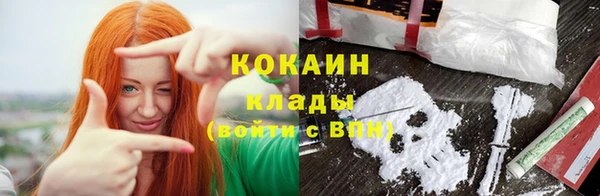 стаф Инта