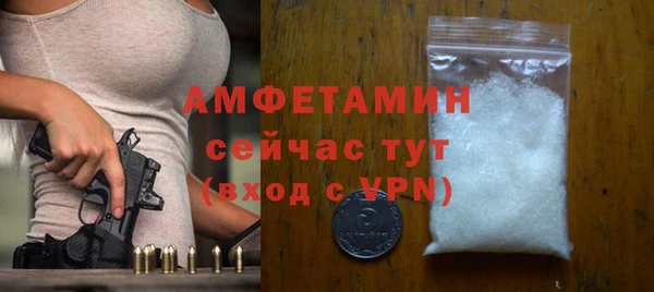 стаф Инта