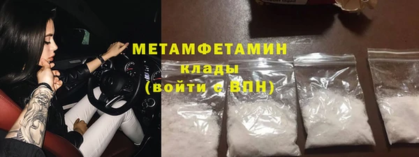 стаф Инта