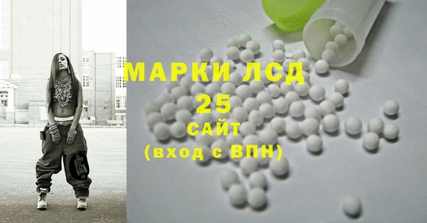 винт Инсар
