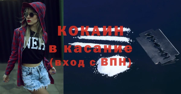 стаф Инта
