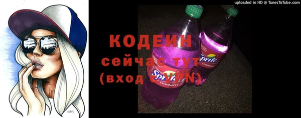 стаф Инта