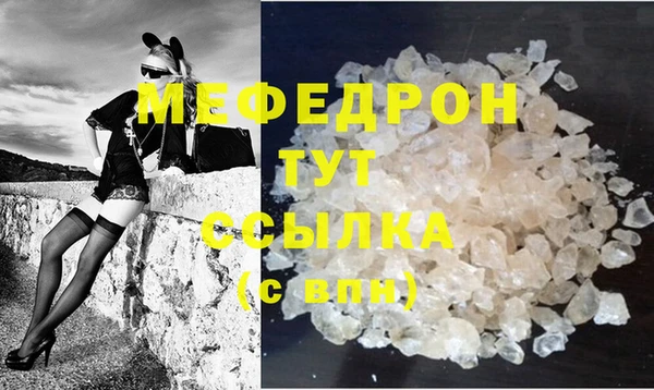 стаф Инта