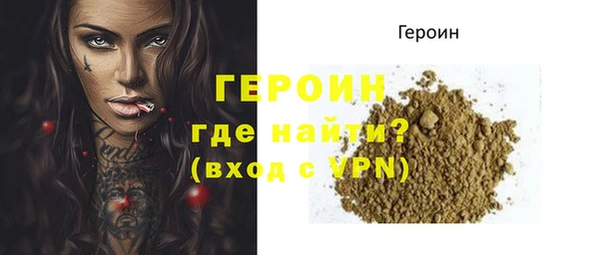 стаф Инта