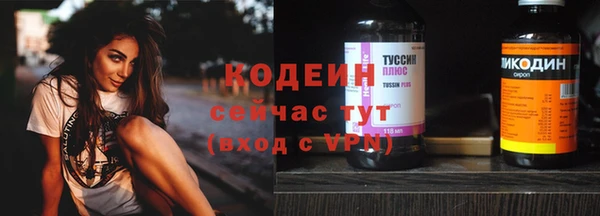 стаф Инта