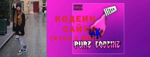стаф Инта