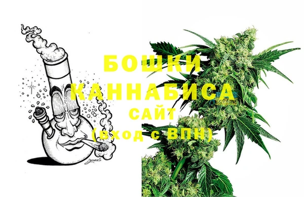 стаф Инта