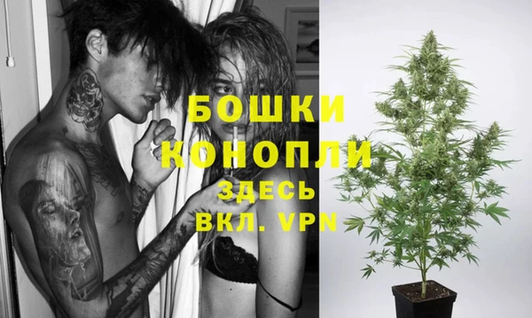 винт Инсар