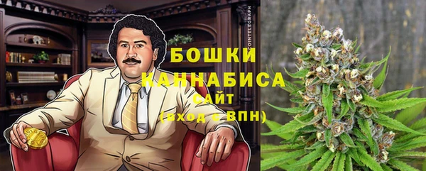 не бодяженный Иннополис