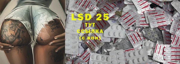 стаф Инта