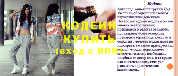стаф Инта