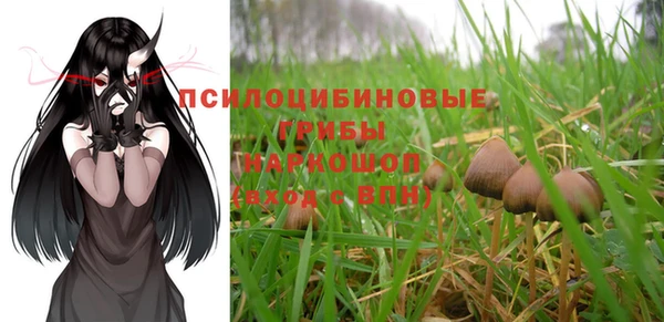 винт Инсар