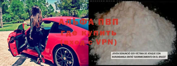 винт Инсар